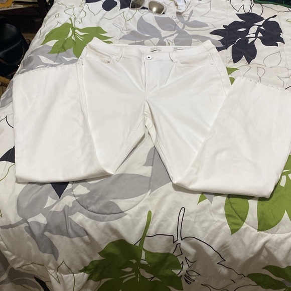 A brand new pair of J Jill denim jeans - Picture 3 of 4